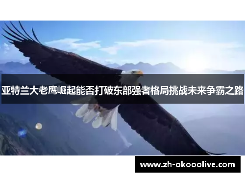 亚特兰大老鹰崛起能否打破东部强者格局挑战未来争霸之路 亚特兰大老鹰崛起能否打破东部强者格局挑战未来争霸之路