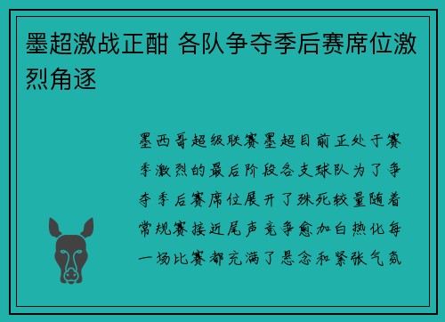 墨超激战正酣 各队争夺季后赛席位激烈角逐 墨超激战正酣 各队争夺季后赛席位激烈角逐