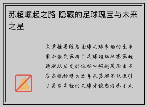 苏超崛起之路 隐藏的足球瑰宝与未来之星 苏超崛起之路 隐藏的足球瑰宝与未来之星